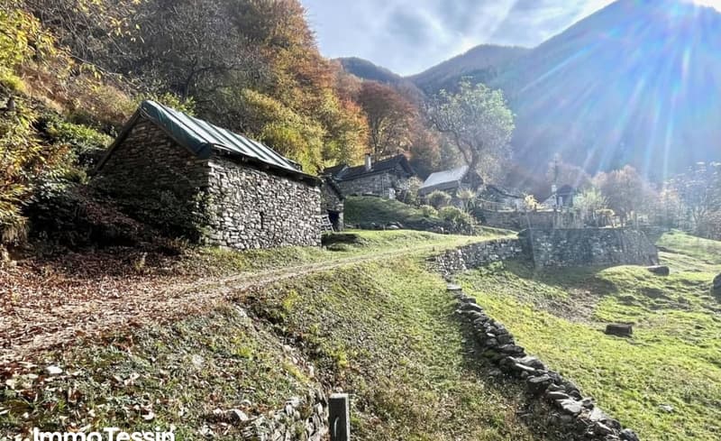 Traumhaftes Rustico in Bignasco Ihr Paradies in den Bergen mit genehmigter Renovierung 101