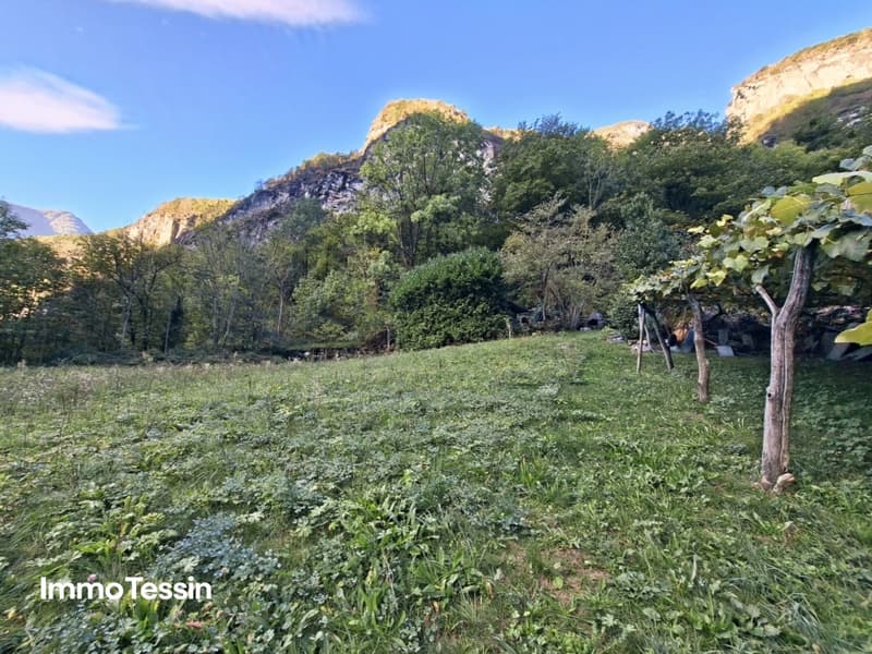 komplett renoviertes Rustico mit charaktervollem Grottino und Landwirtschaftsland im herrlichen Maggiatal 1