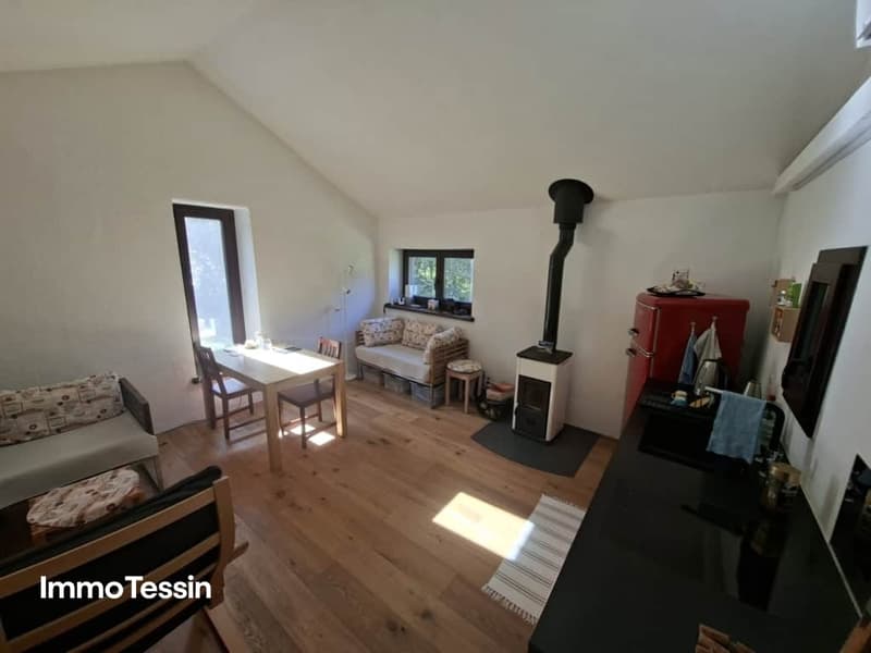 Modernes Rustico in Pianezzo viel Umschwung, absolute Privatsphäre, Ihr Rückzugsort zu zweit 6