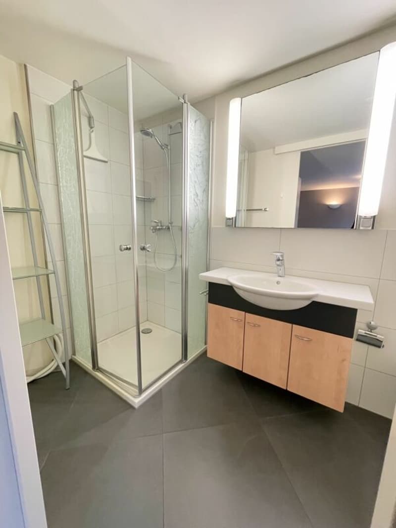Stilvoll möbliertes Apartment inkl. Parkplatz (8)