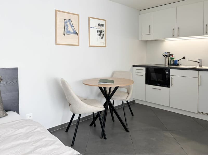 Stilvoll möbliertes Apartment inkl. Parkplatz (4)
