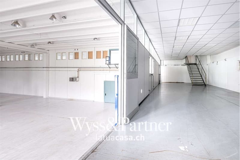 Bioggio, grande spazio commerciale modulabile (9)