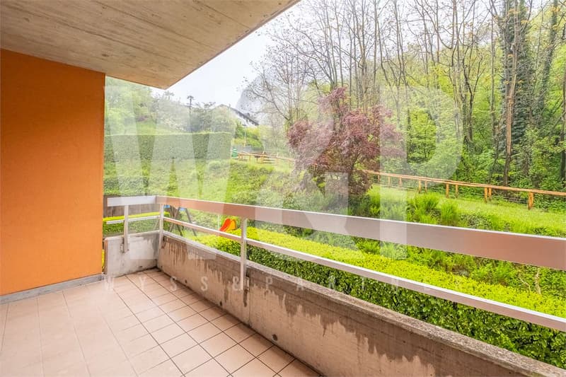 3 MESI GRATIS - Pazzallo -  4.5 in zona tranquilla (9)