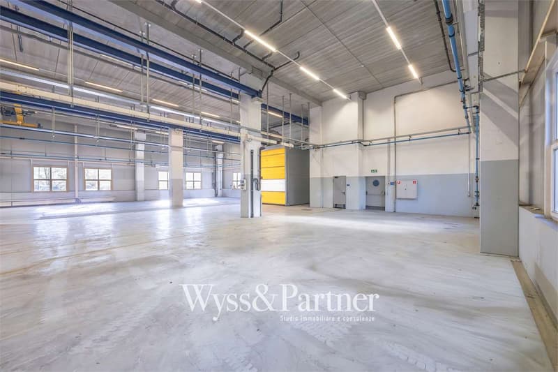 Agno - ampio spazio commerciale (3)