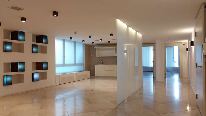Affittasi prestigioso ufficio a Lugano (3)