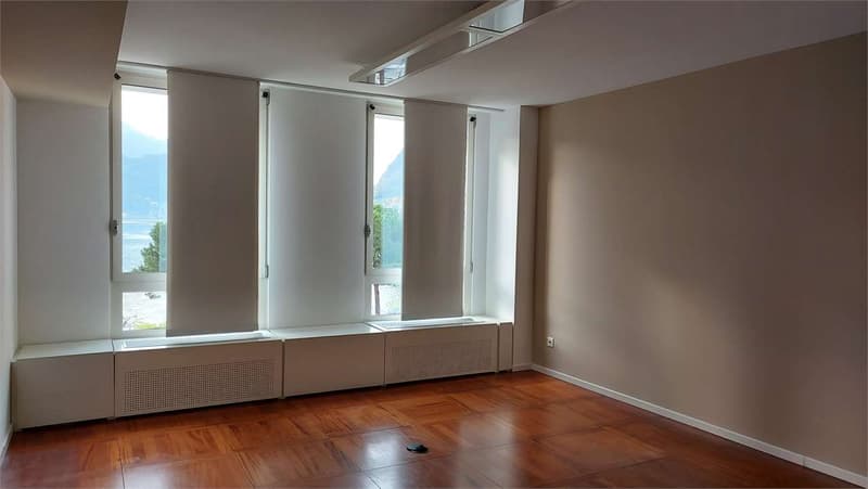 Affittasi prestigioso ufficio a Lugano (13)
