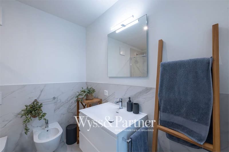 Minusio - splendido 2.5 ammobiliato (9)
