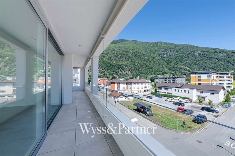 Splendido Appartamento di Standing Superiore a Bellinzona (5)