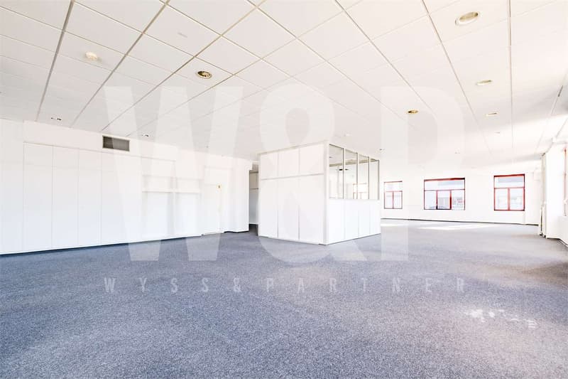 Camorino - ampio spazio commerciale (1)