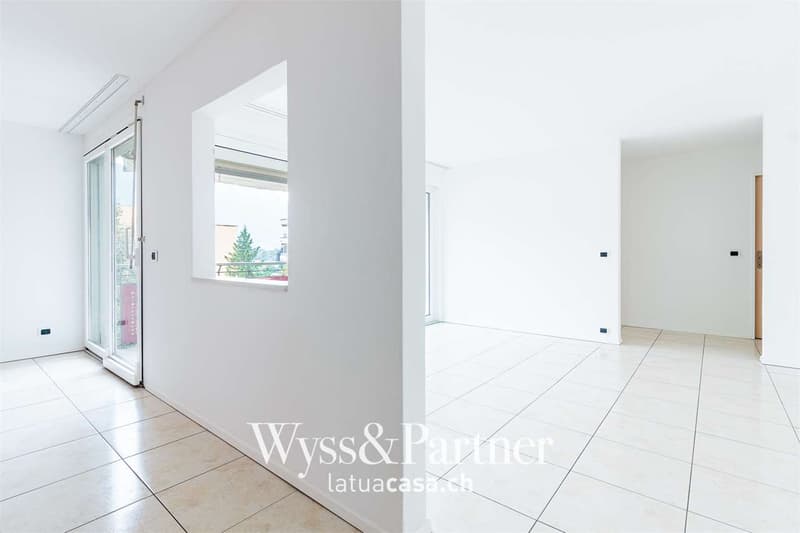 Affittasi ampio e luminoso appartamento 4.5 locali (6)
