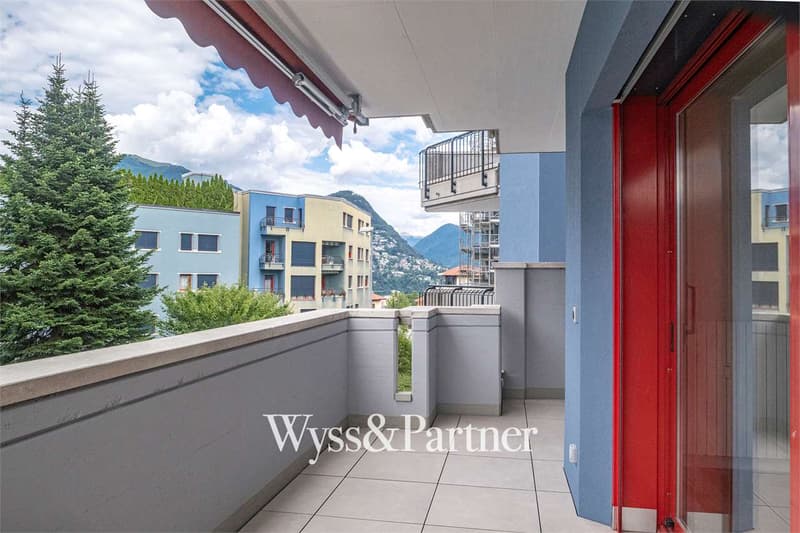 Lugano - 3.5 completamente ristrutturato (10)