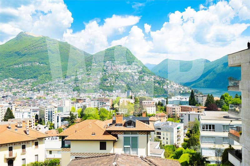 Lugano splendido 5.5 completamente ristrutturato (12)