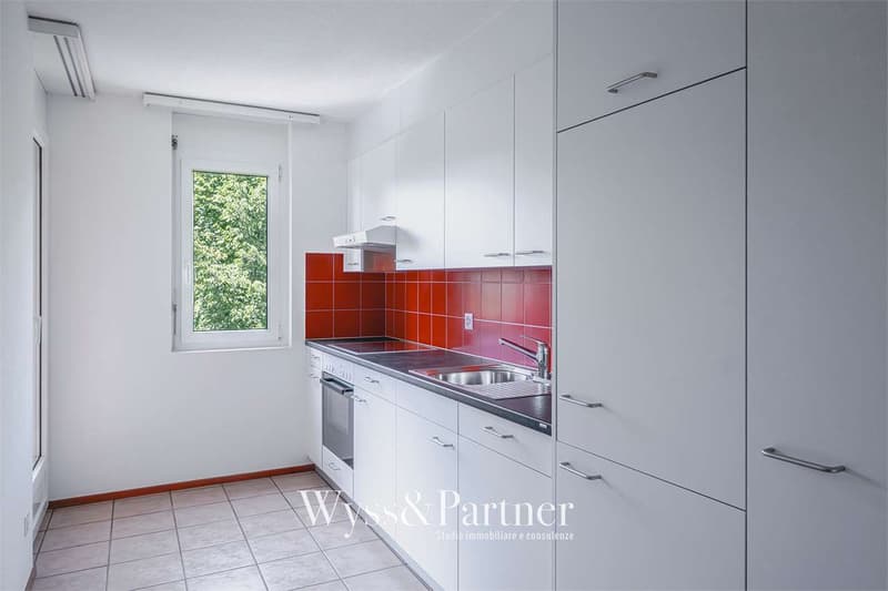 Ampio 4.5 locali con terrazza vicino a Lugano - prime 3 mensilità grat (4)