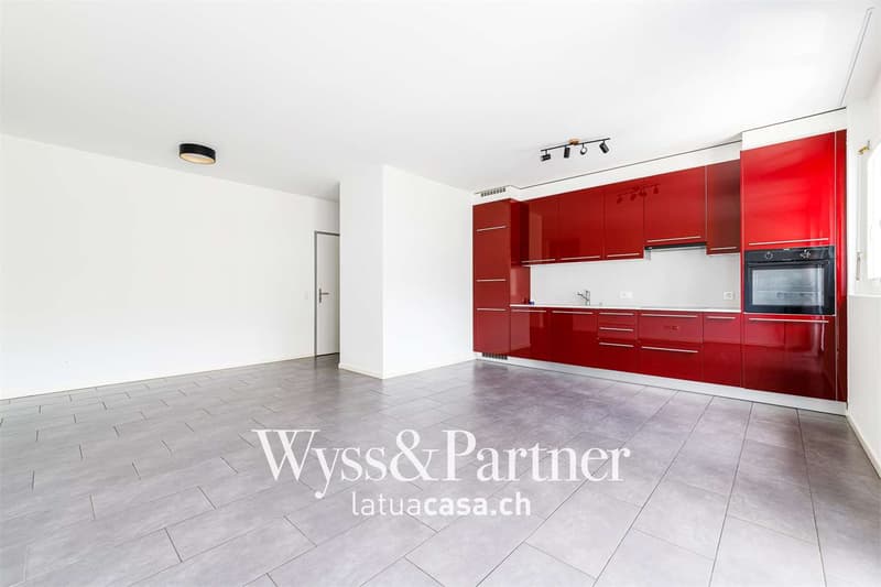 Ascona - Luminoso 3,5 locali con ampio balcone e posteggio incluso (1)