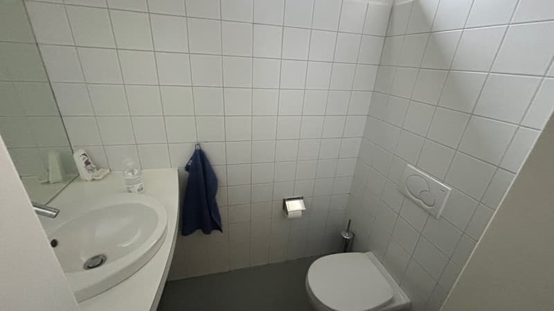TESSERETE - Moderno ufficio di 2 locali (10)