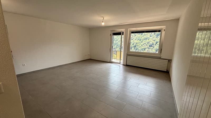 MEDEGLIA - ampio e luminoso appartamento 5.5 locali (8)