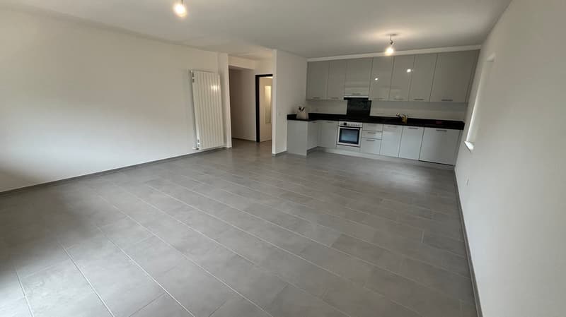MEDEGLIA - ampio e luminoso appartamento 5.5 locali (7)