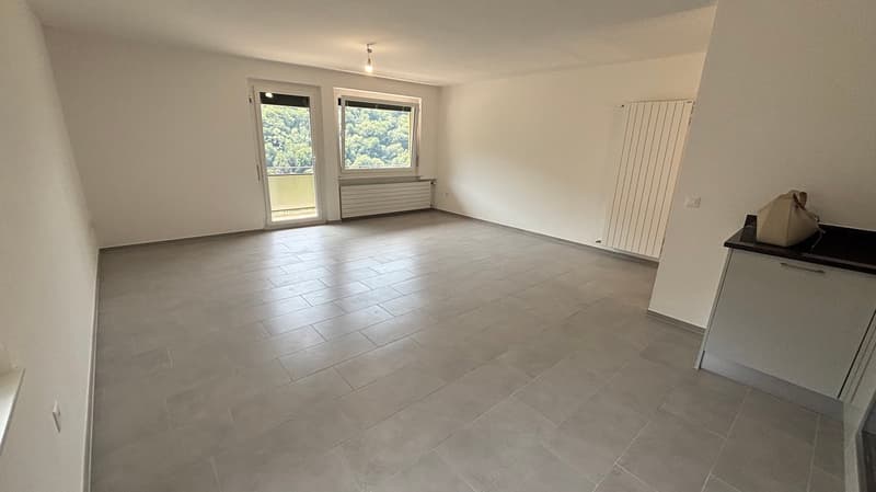 MEDEGLIA - ampio e luminoso appartamento 5.5 locali (9)