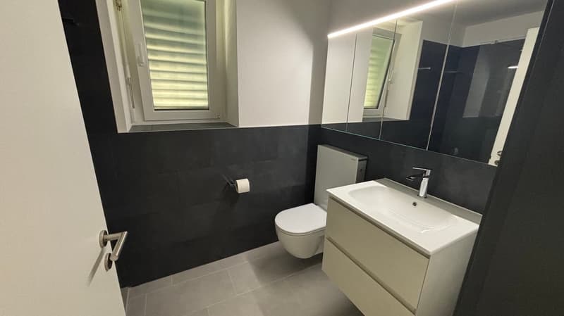 MEDEGLIA - ampio e luminoso appartamento 5.5 locali (12)