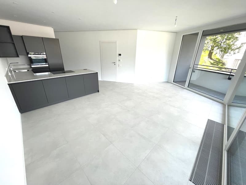 LUGANO - ULTIMO APPARTAMENTO 3 LOCALI IN AFFITTO (10)