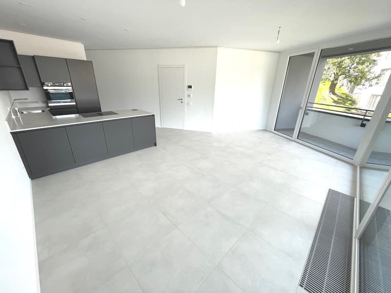 LUGANO - ULTIMO APPARTAMENTO 3 LOCALI IN AFFITTO (4)