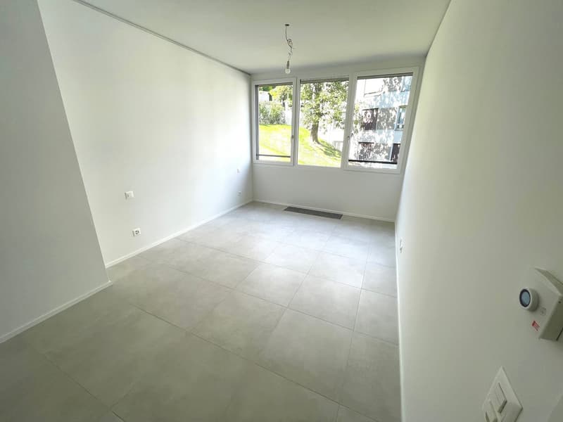 LUGANO - ULTIMO APPARTAMENTO 3 LOCALI IN AFFITTO (17)