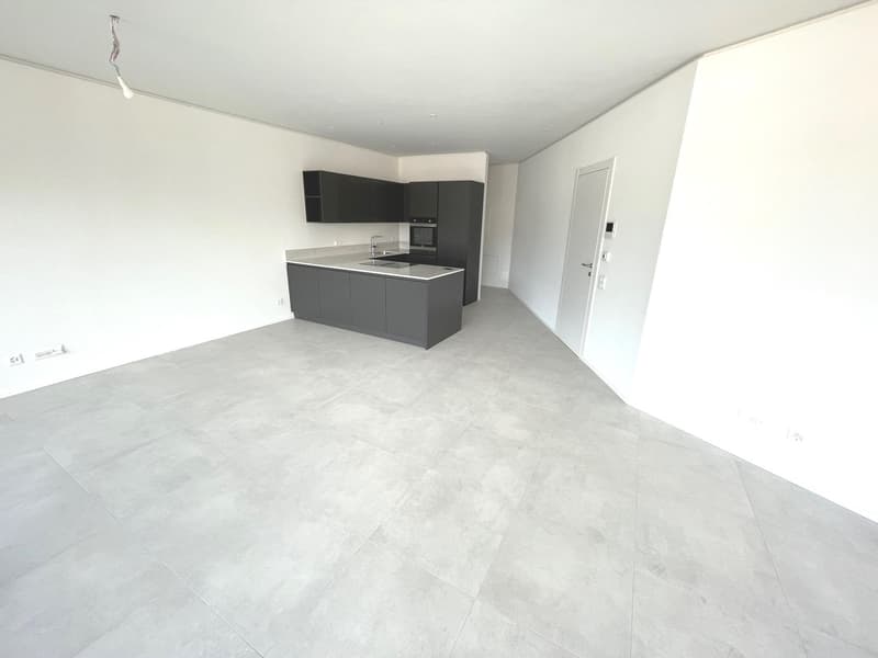 LUGANO - ULTIMO APPARTAMENTO 3 LOCALI IN AFFITTO (7)