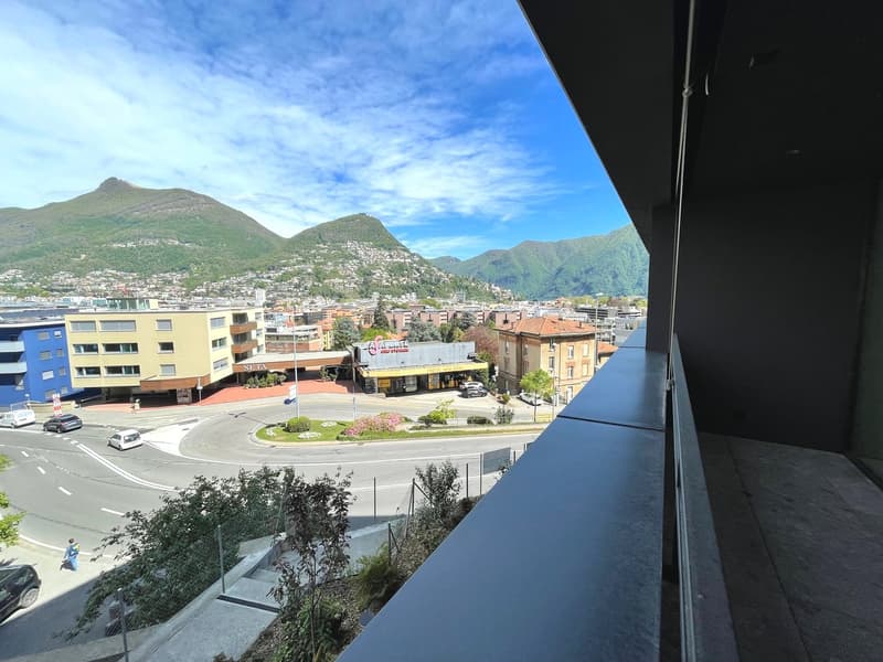 LUGANO - ULTIMO APPARTAMENTO 3 LOCALI IN AFFITTO (19)