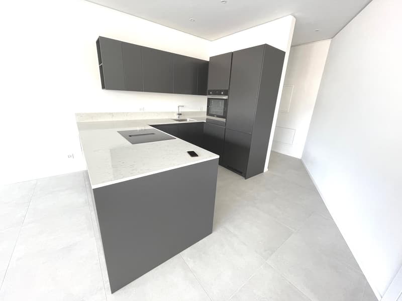 LUGANO - ULTIMO APPARTAMENTO 3 LOCALI IN AFFITTO (13)