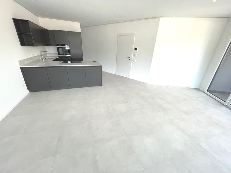 LUGANO - ULTIMO APPARTAMENTO 3 LOCALI RESIDENZA FORSYTH (8)