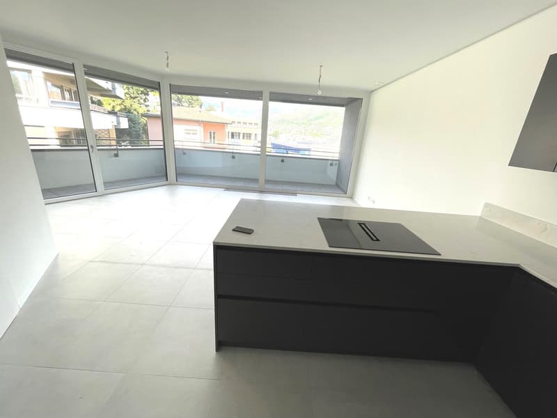 LUGANO - ULTIMO APPARTAMENTO 3 LOCALI RESIDENZA FORSYTH (11)
