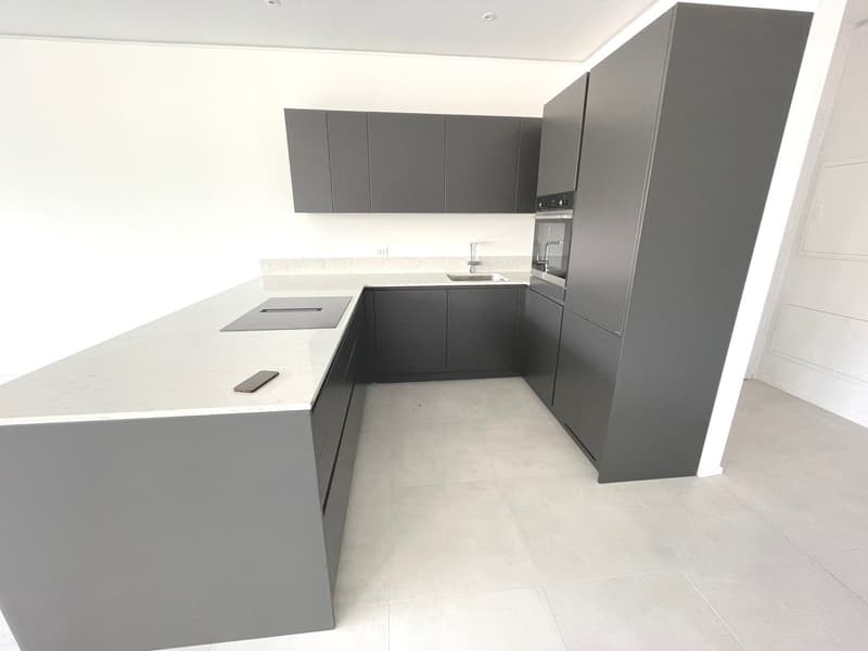 LUGANO - ULTIMO APPARTAMENTO 3 LOCALI RESIDENZA FORSYTH (14)