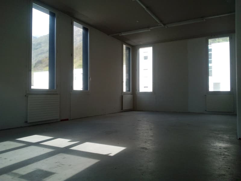Mezzovico - spazio espositivo / magazzino (2)