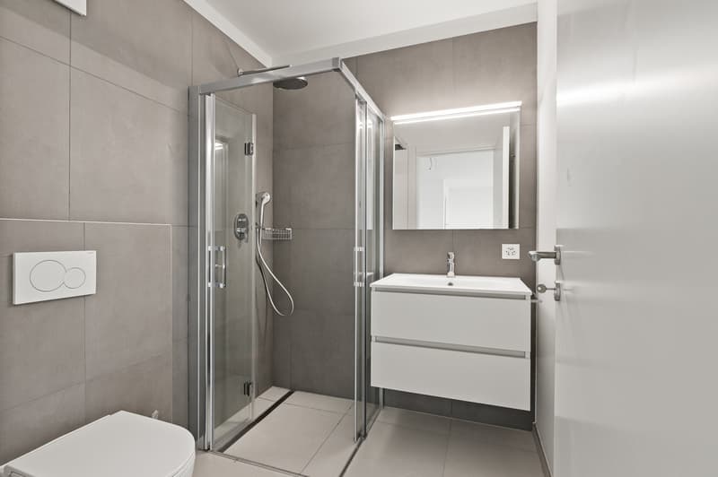 Modern bathroom with gray tile walls, glass shower enclosure, vanity with drawers, and a mirror above the sink
