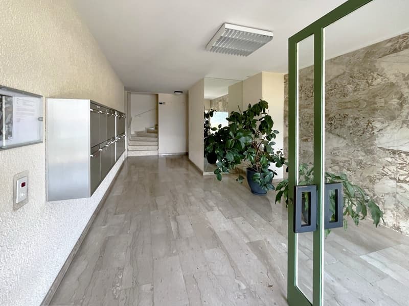 Appartamento in affitto con vista lago in Via San Gottardo (12)