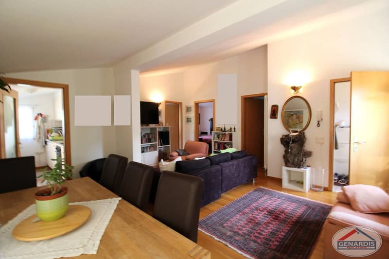 3 Unità immobiliari! Magnifica proprietà composta da bifamiliare + casa singola e vasto giardino (8)