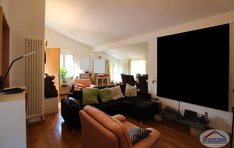 Dark living room, with a sofa, large screen TV, floor lamp, wooden floor, radiator, shelves, dining table, and chairs.