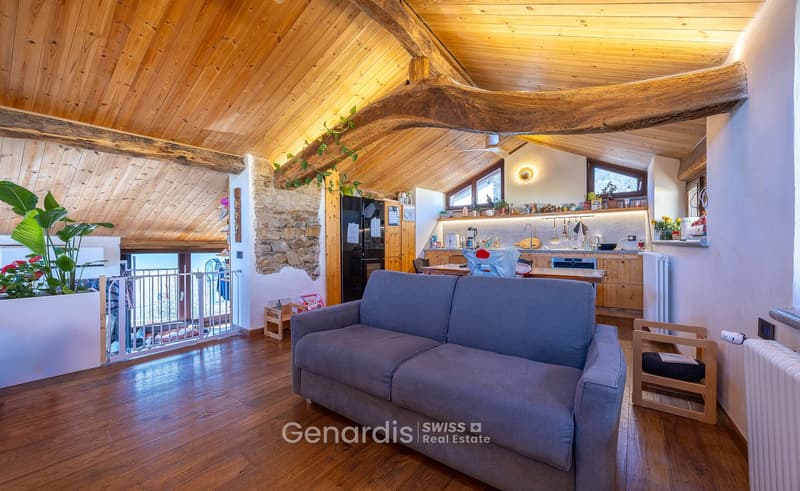 wooden ceiling, wooden floor, gray couch, kitchen, balcony, radiator, plant