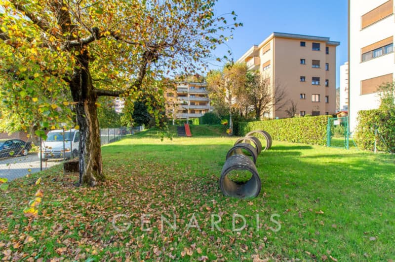green grass, tree, bushes, tire tubes, slide, buildings in the background