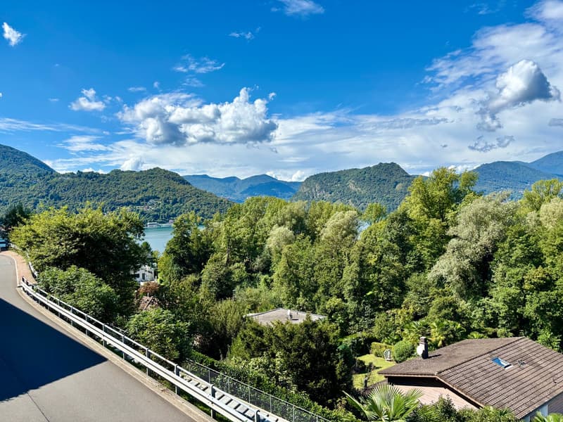 Mountains, lake, trees, road, houses