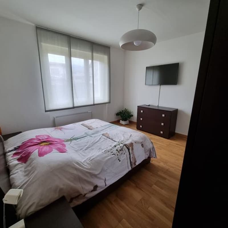 Breganzona , Soleggiata   Ampia Casa Indipendente con tre appartamenti , Giardino  privato (12)