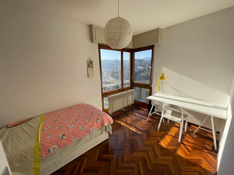 Comodità,   Appartamento  loc  3,5,   con Terrazza, vista panoramica,  cantina (11)