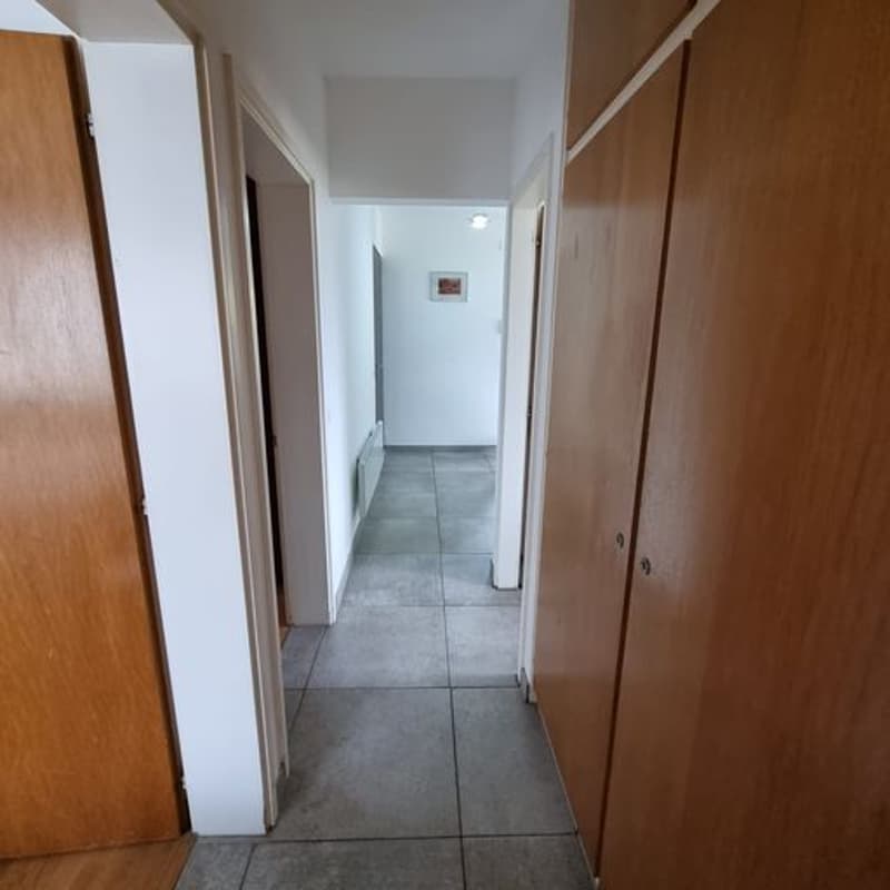 Breganzona , Soleggiata   Ampia Casa Indipendente con tre appartamenti , Giardino  privato (15)