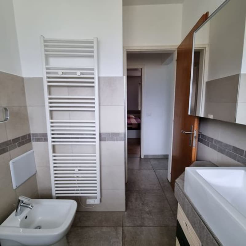 Breganzona , Soleggiata   Ampia Casa Indipendente con tre appartamenti , Giardino  privato (13)