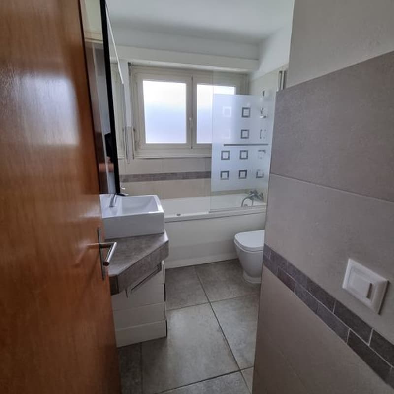 Breganzona , Soleggiata   Ampia Casa Indipendente con tre appartamenti , Giardino  privato (14)
