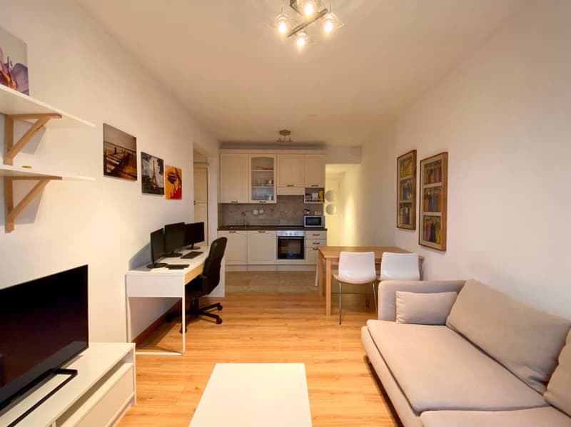 Centro Lugano, Piano Attico con due appartamenti di loc 2,5, Terrazze, Posto Auto coperto. (11)