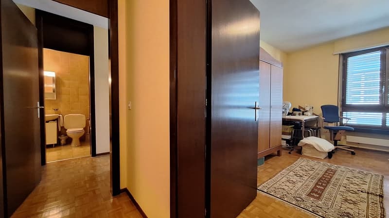 Fronte Lago di Lugano, Spazioso Appartamento loc 3,5, due bagni,  con Terrazza, cantina. (19)