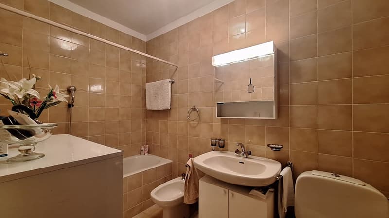 Fronte Lago di Lugano, Spazioso Appartamento loc 3,5, due bagni,  con Terrazza, cantina. (20)