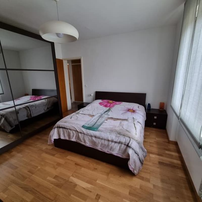 Breganzona , Soleggiata   Ampia Casa Indipendente con tre appartamenti , Giardino  privato (11)