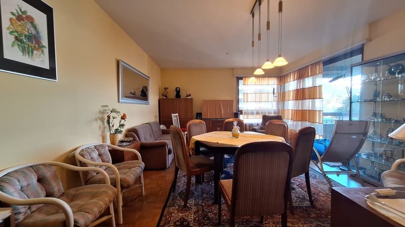 Fronte Lago di Lugano, Spazioso Appartamento loc 3,5, due bagni, con Terrazza, cantina. (9)